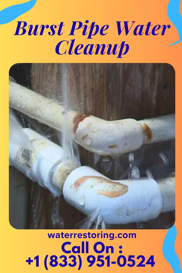 Burst Pipe Water Cleanup in Dover, OH