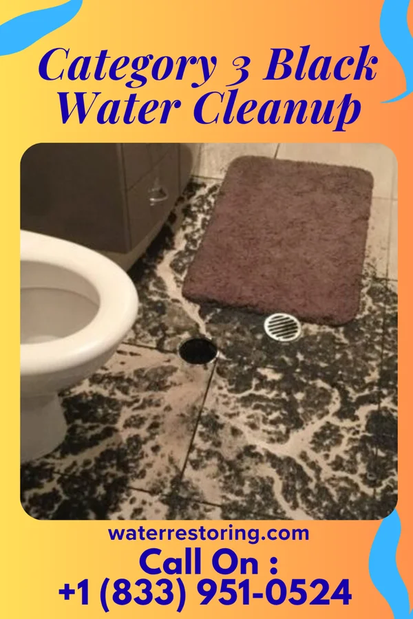 Category 3 Black Water Cleanup in Dover, OH