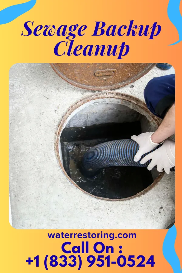 Sewage Backup Cleanup in Dover, OH